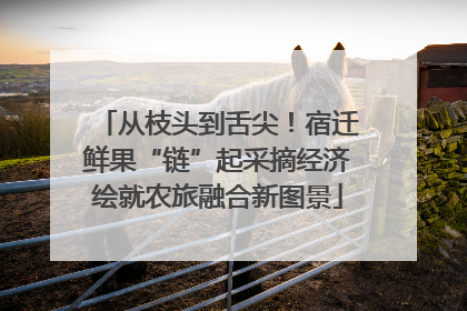 从枝头到舌尖！宿迁鲜果“链”起采摘经济绘就农旅融合新图景